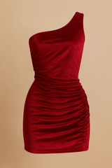 The Velvet Holiday Dress