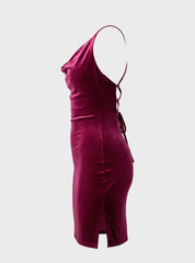 Velvet Bodycon Mini Dress