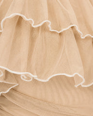 Sheer Ruffle Dress