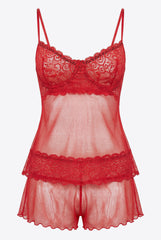 hot transparency set