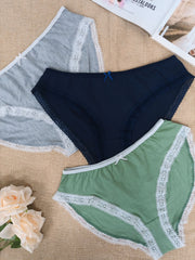 brief panty - pack 3